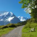 Приключенски парк ще се строи в Сухиндол