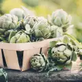 Artichoke Leaves - Benefits and Uses