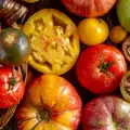 What Do Tomatoes Contain?