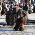 Кукери дефилираха в Банско