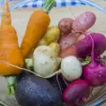 Which are the Root Vegetables?