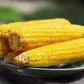 What Does Corn Contain?