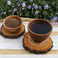 Anise Seed Tea Against Respiratory Diseases