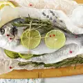 Delicious Recipes with Bream