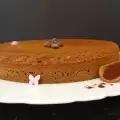 Cocoa Sponge Cake Layer