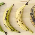 Green, Yellow or Brown Banana: Which One is Most Healthy?