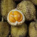 Durian