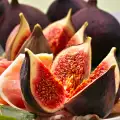 The Forbidden Fruit: The Secret History of the Fig