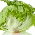 Iceberg Lettuce