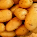 Potatoes