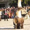 Шест хиляди кукери дефилират в Перник