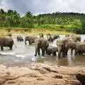 Lake Manyara