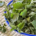 How Long are Nettles Boiled for?