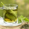 How to Make Nettle Tea?