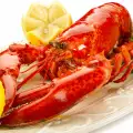 Exquisite Recipes with Lobster