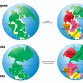 Scientists Reveal How the Earth will Look in 250 Million Years