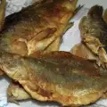 Barbos fritos