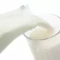 Cow Milk