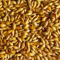 How to Boil Millet?