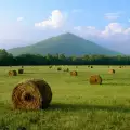 The Pyramids in Bosnia