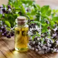 Oregano Oil - What it is and Why it is Useful