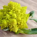 Romanesco Brokoli