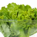 Lettuce