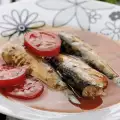 Sardines