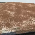 Tiramisu According to an Original Recipe