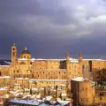 Urbino