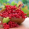 How to Make Rowan Jam