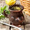 Yerba Mate - Het geheime drankje met wonderbaarlijke eigenschappen