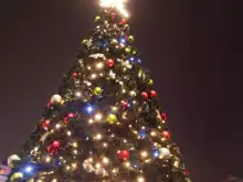 Nikola Vaptsarov Town Square Shines Festively