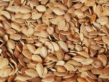 pumpkin seeds