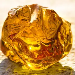 Sumatran Amber - the Largest in the World