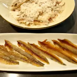 Homemade Salted Anchovies