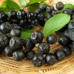 Aronia