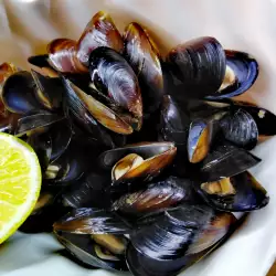 Mussels with Beer and Butter in a Pot