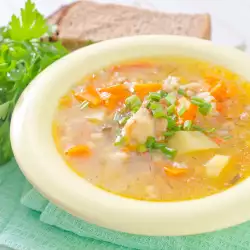 Moldovan Chicken Soup