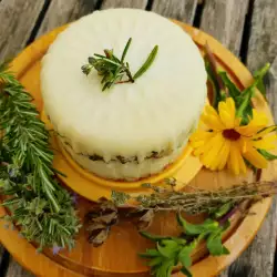 Homemade Yellow Cheese with Herbs