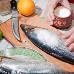 Salting of Fish