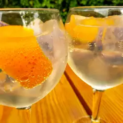 Gin tonic de portocale