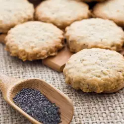 Easy Salty Biscuits