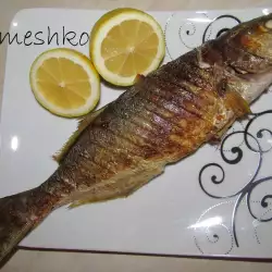 Grilled Bluefish