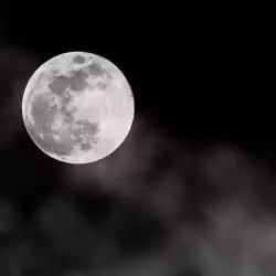 The Moon