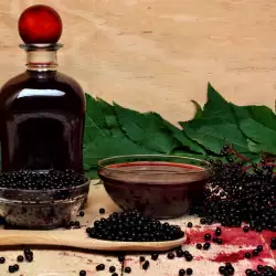 Healing Properties of Elderberry