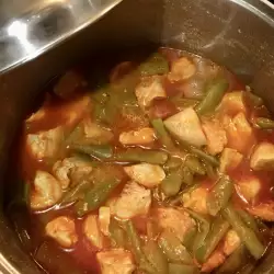 Spicy Green Bean and Chicken Stew