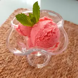 Sugar-Free Fruit Ice Cream