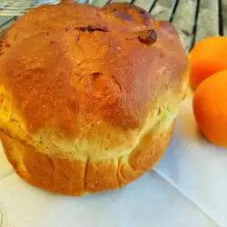 Orange Panettone