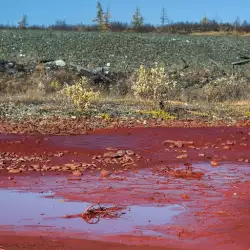 Библейско пророчество се сбъдна! Река в Русия стана кървавочервена